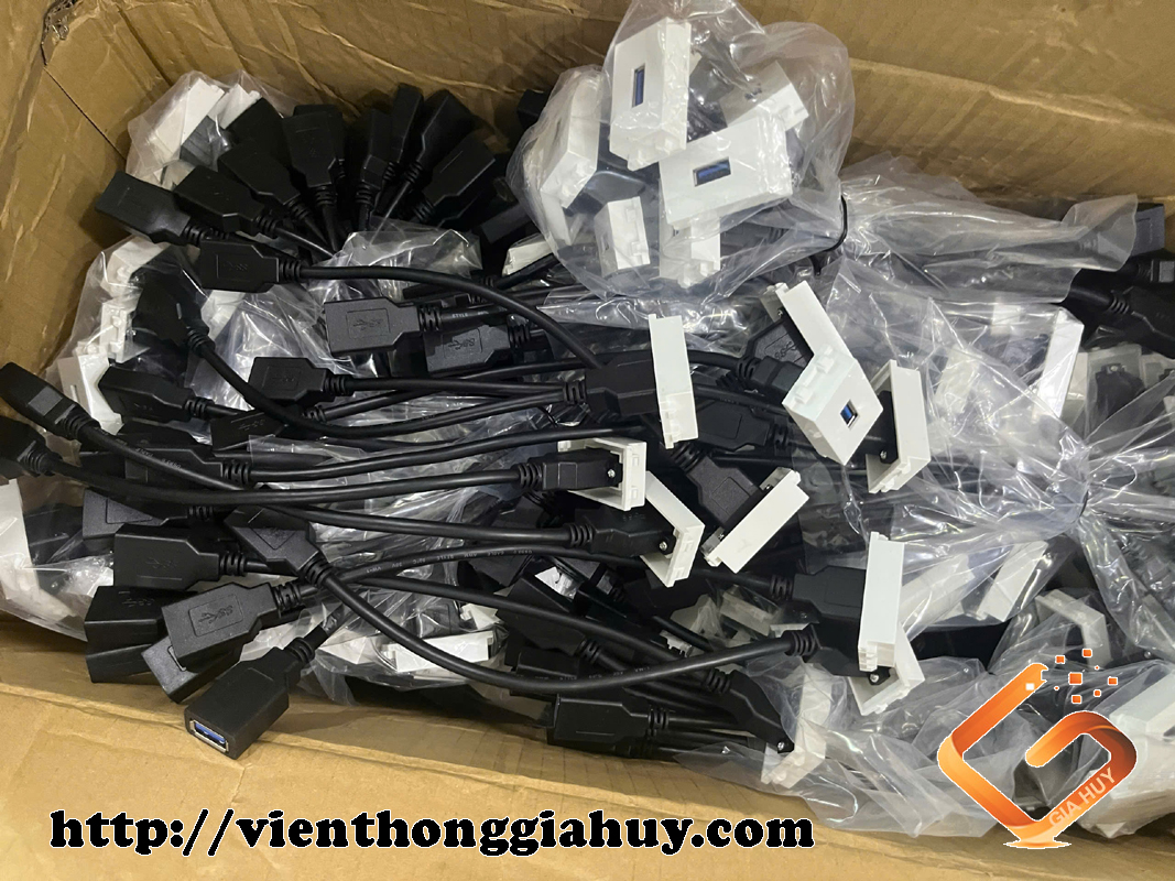 Ổ cắm USB ACT-U1080-L20 Ancomteck Wide - Ảnh 2